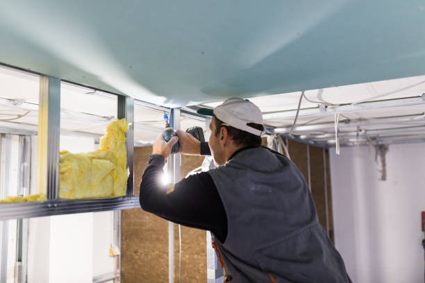 Professional Insulation Contractor in Burkburnett, TX