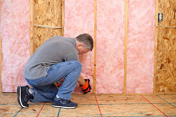 Best Residential Insulation in Burkburnett, TX