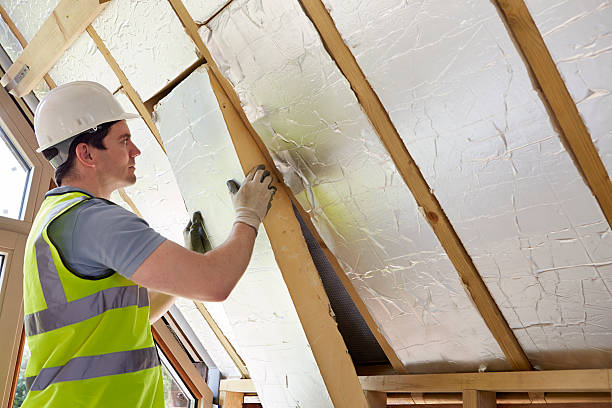 Best Geographic-Specific Insulation Services in Burkburnett, TX
